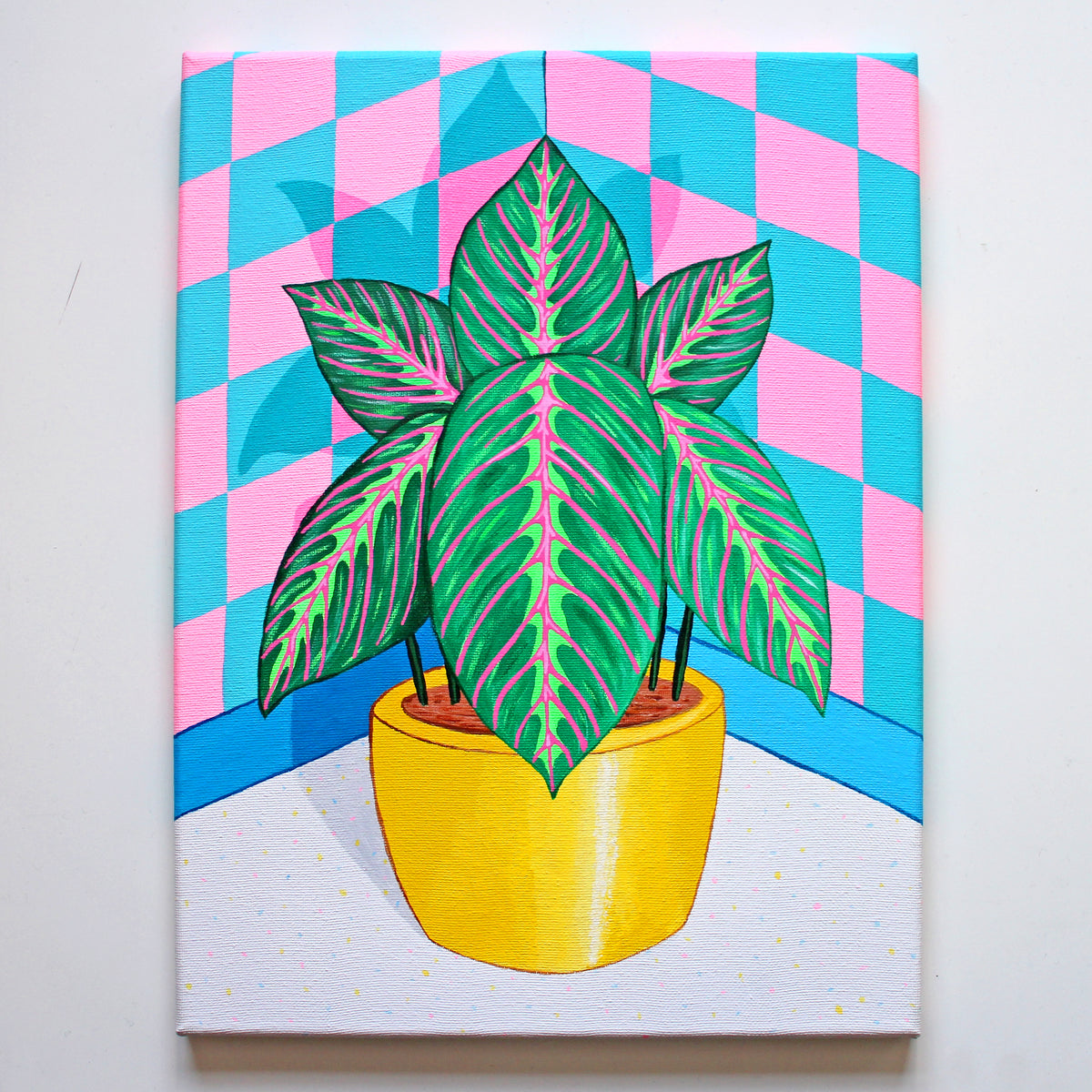 Prayer Plant Maranta Still Life On Canvas