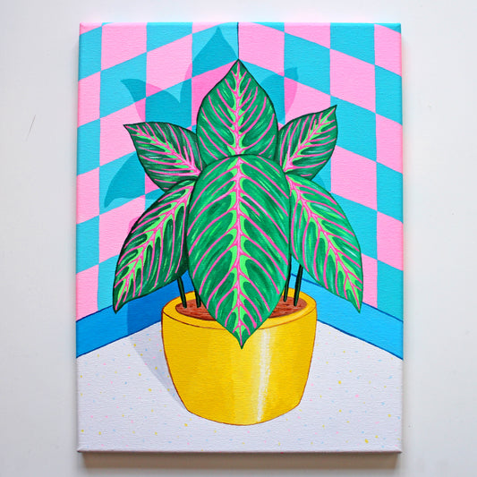 Prayer Plant Maranta Still Life On Canvas