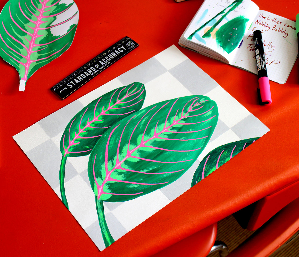 Prayer Plant Maranta Leaves against Wall on Unframed A4 Paper