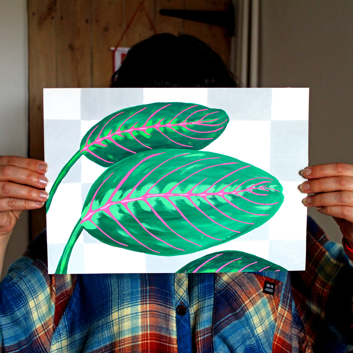 Prayer Plant Maranta Leaves against Wall on Unframed A4 Paper