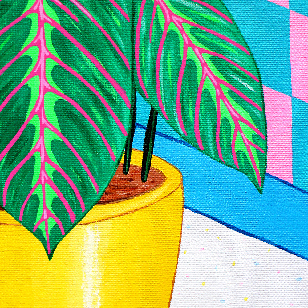 Prayer Plant Maranta Still Life On Canvas