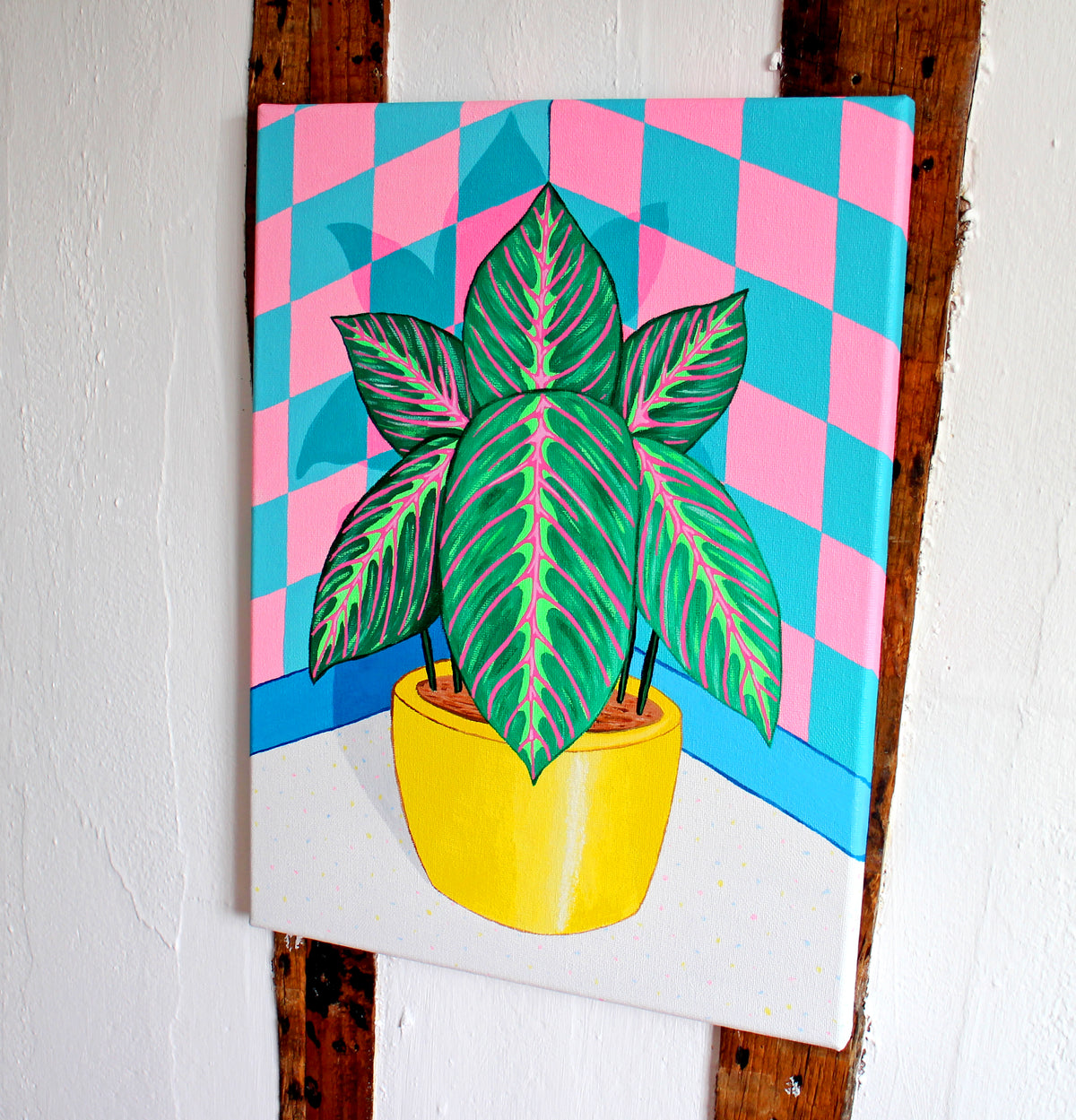 Prayer Plant Maranta Still Life On Canvas